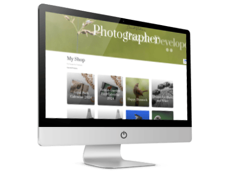 Art And Photography Website Design