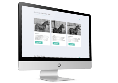 Horse Breeding Company Website Design