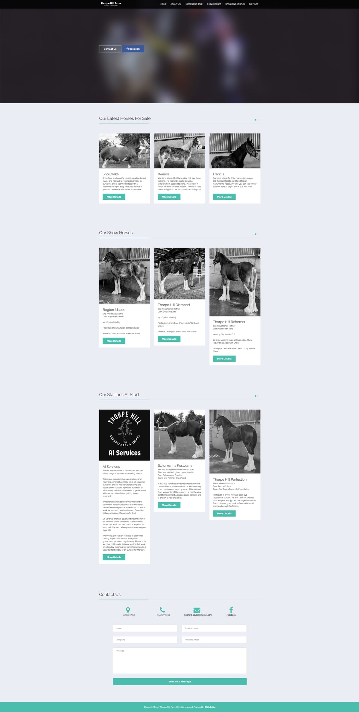 Horse Breeding Company Website Design