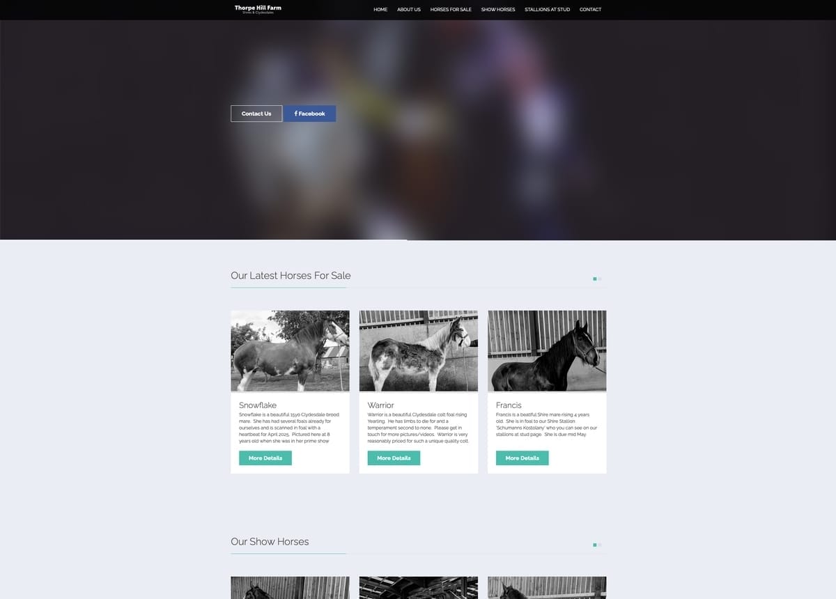 Horse Breeding Company Website Design